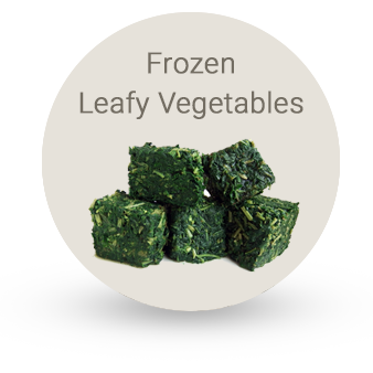 frozen leafy vegetables manufacturers
